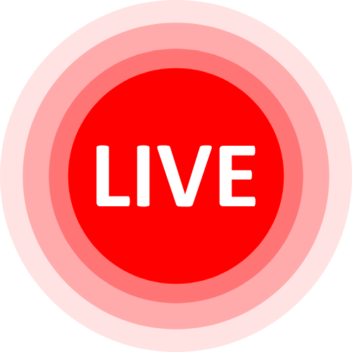 Lucidlucy Cam